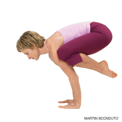 bakasana (crane pose)