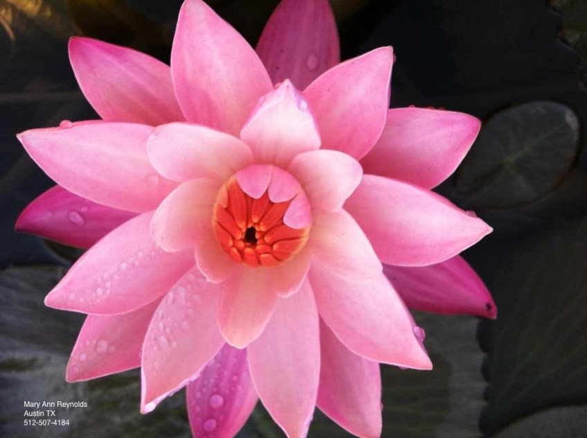 The Well Bodywork & Changework, Austin, TX, ATX, MaryAnn Reynolds, LMT