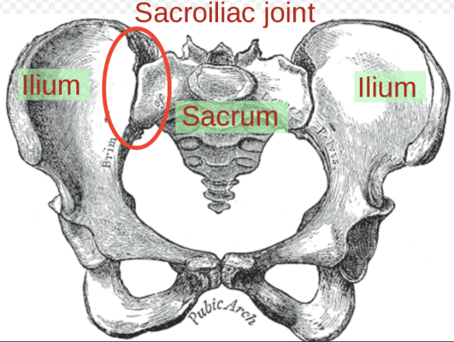 Screen Shot 2015-06-29 at 11.34.49 PM