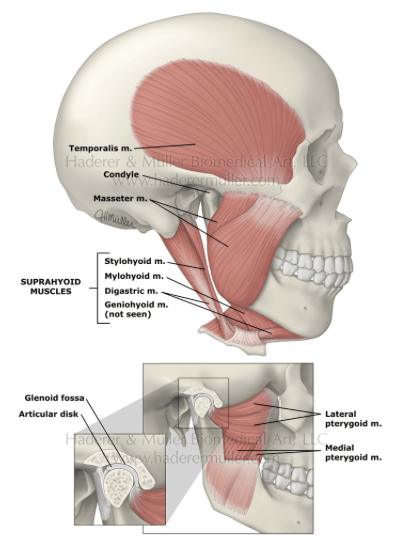 Screen Shot 2016-01-28 at 11.55.52 AM