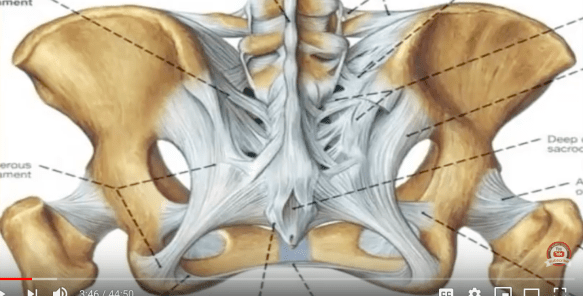 Screen Shot 2018-10-08 at 11.42.18 PM.png