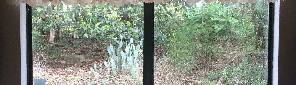 The Well: bodymindheartspirit