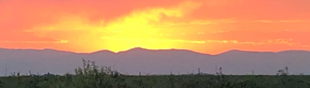 The Well: bodymindheartspirit